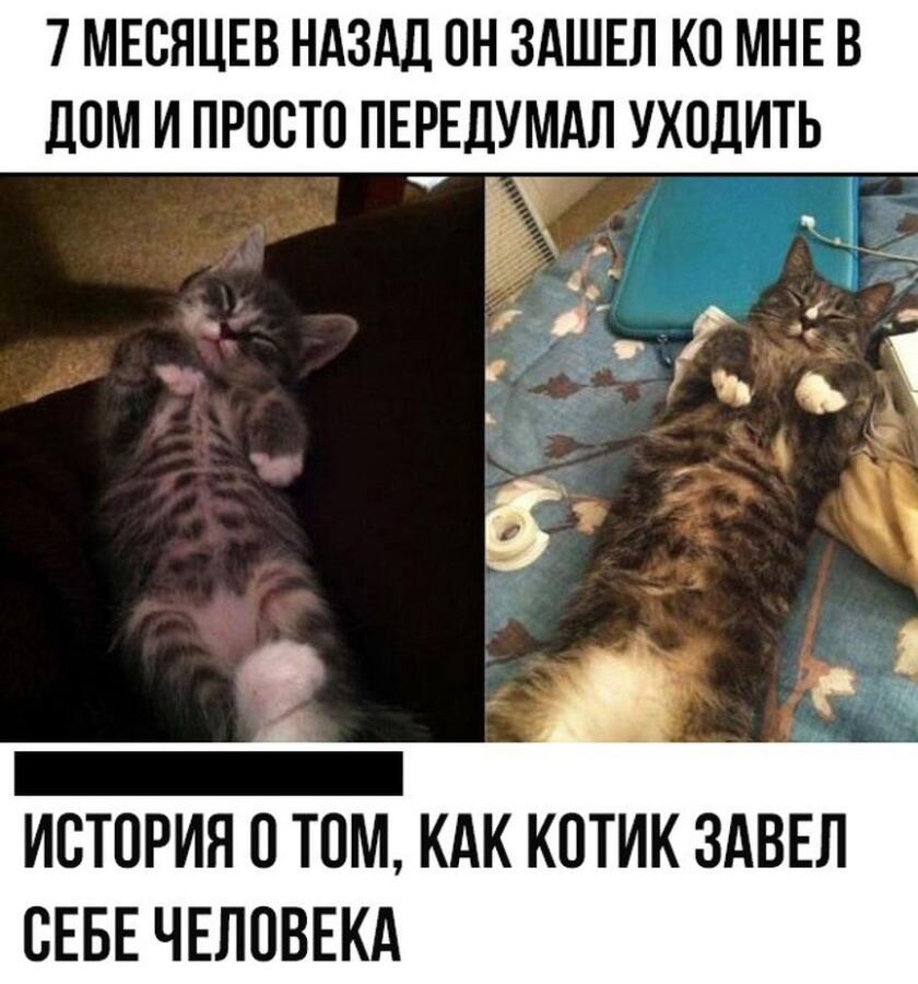 Мем от Badvarsik