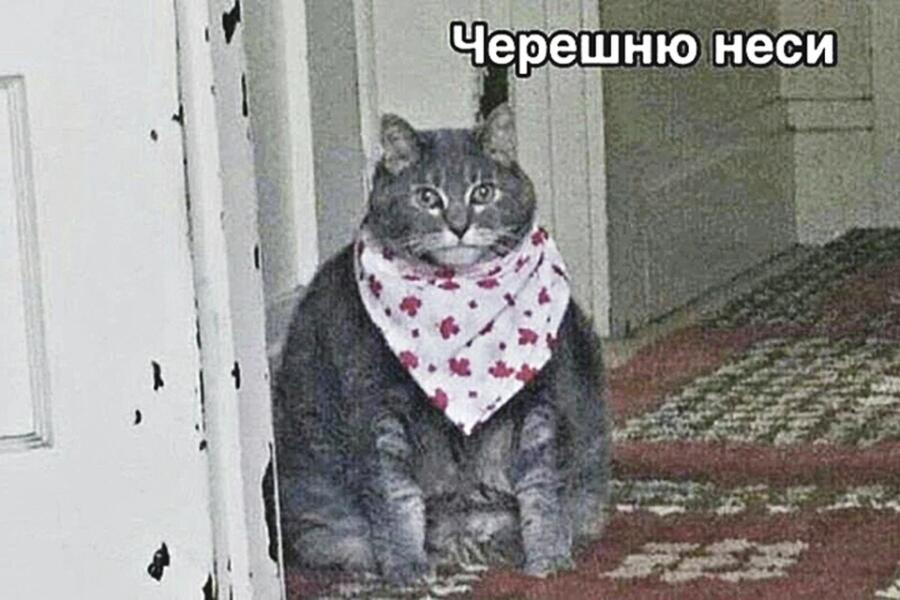 Мем от Badvarsik