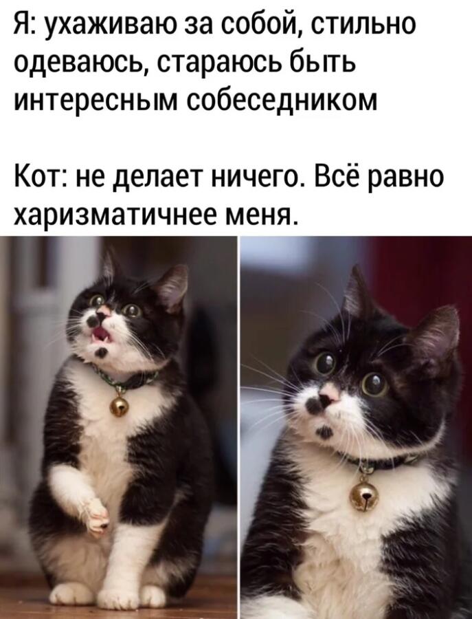 Мем от Badvarsik