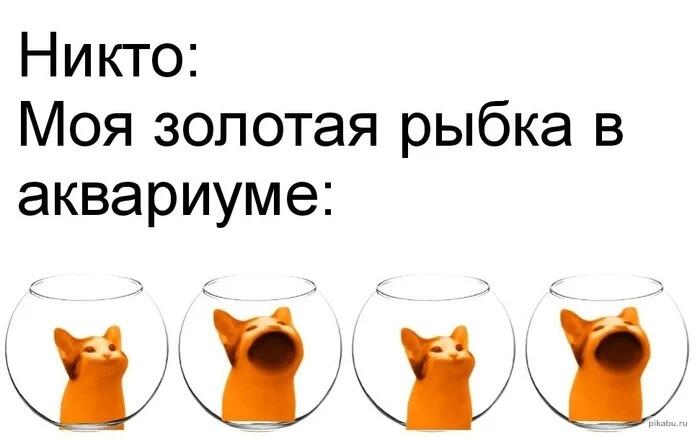 Мем от Badvarsik