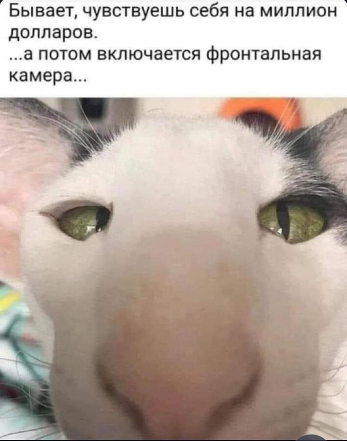Мем от Badvarsik