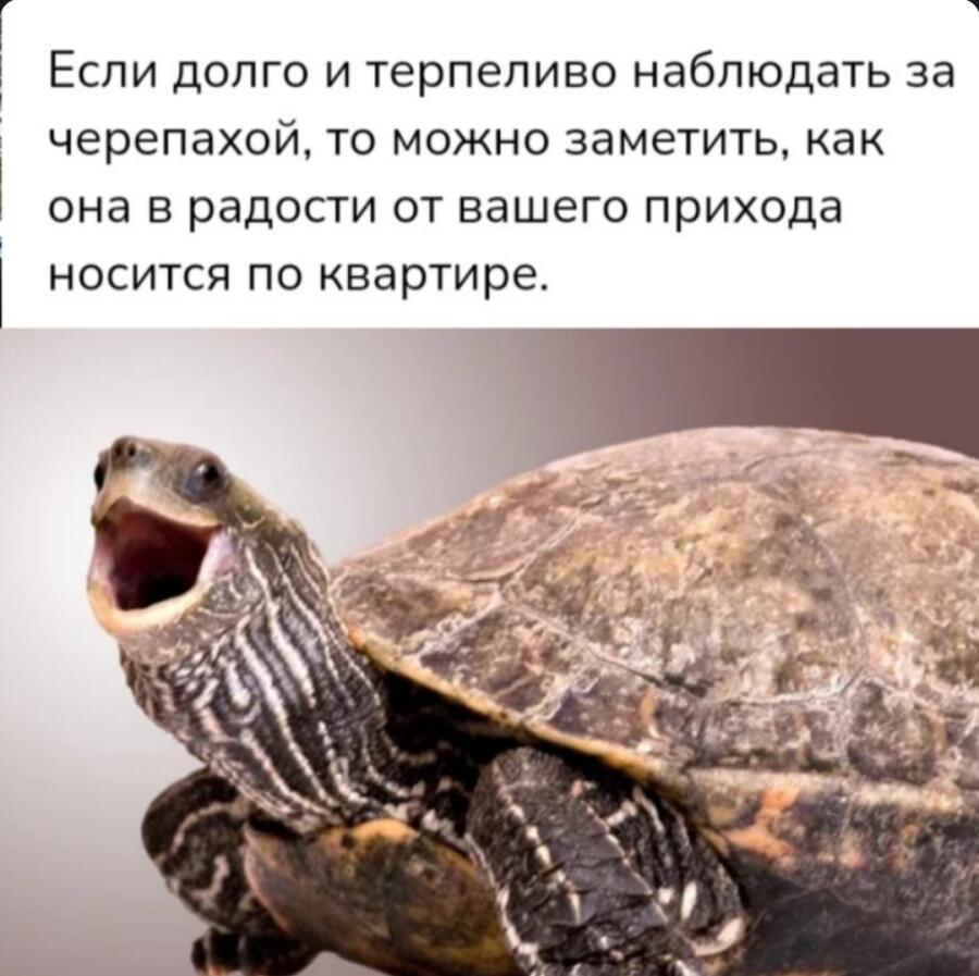 Мем от Badvarsik