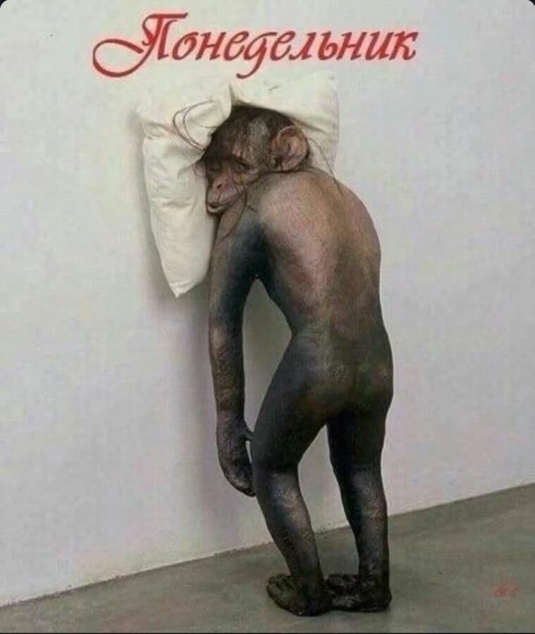 Мем от Badvarsik