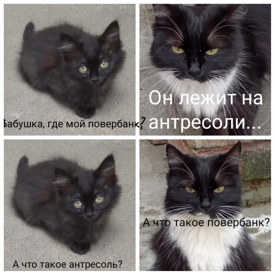 Я конечно знаю, это все знают, но не смогла не выложить:))😹