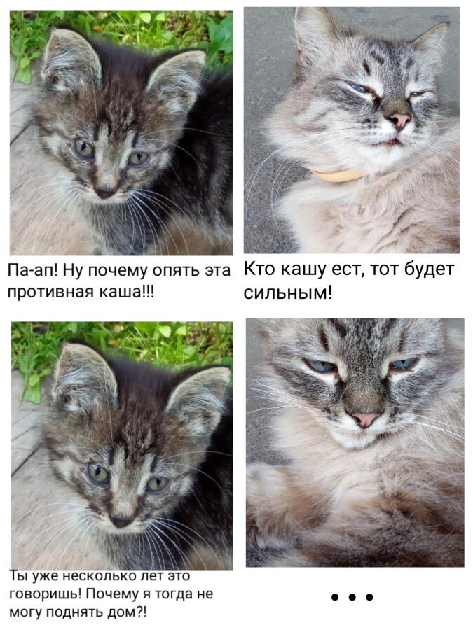 Мем без подписи
