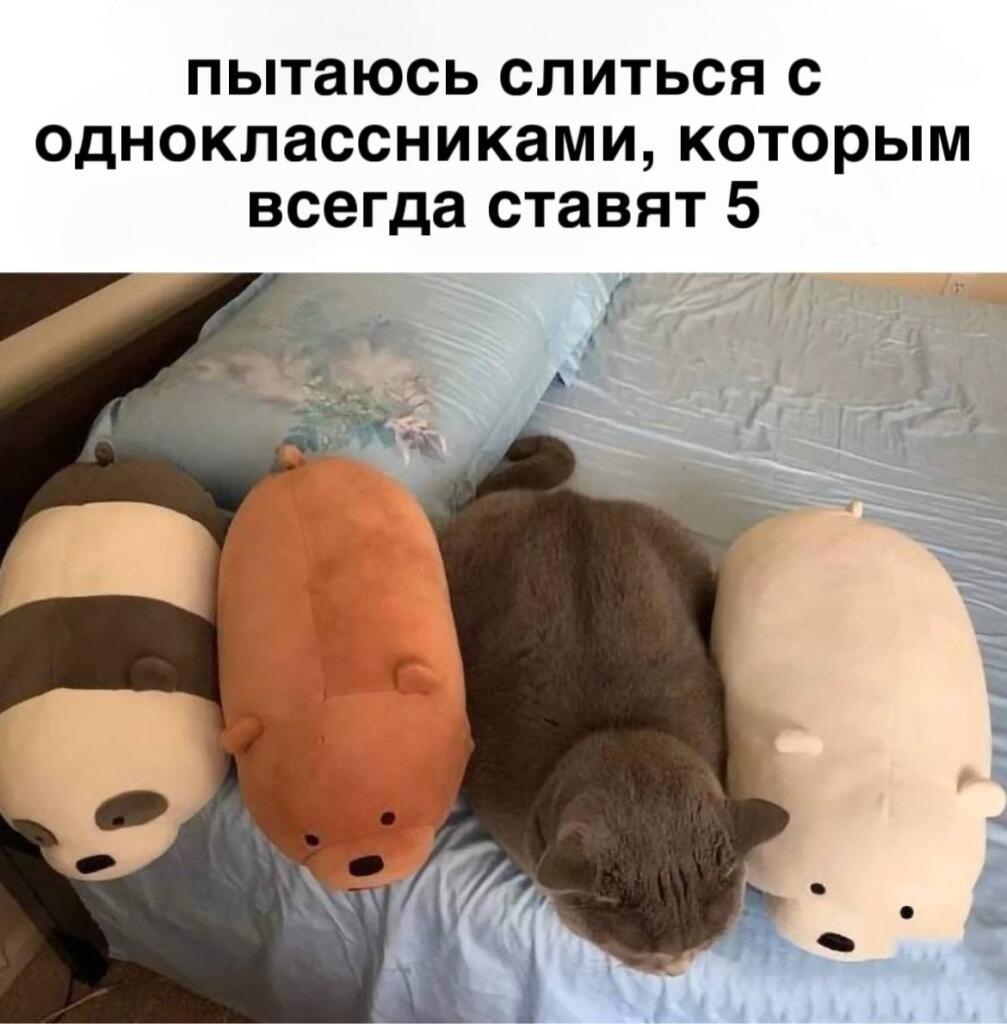 Мем от St_Egor