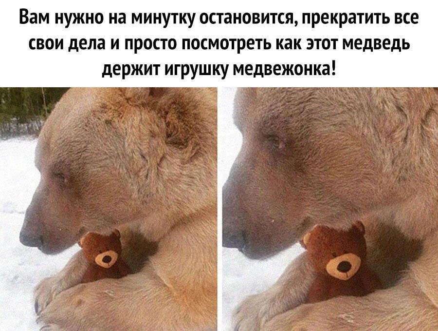 Мем от Бузова какая-то