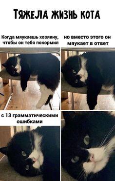 Мем без подписи