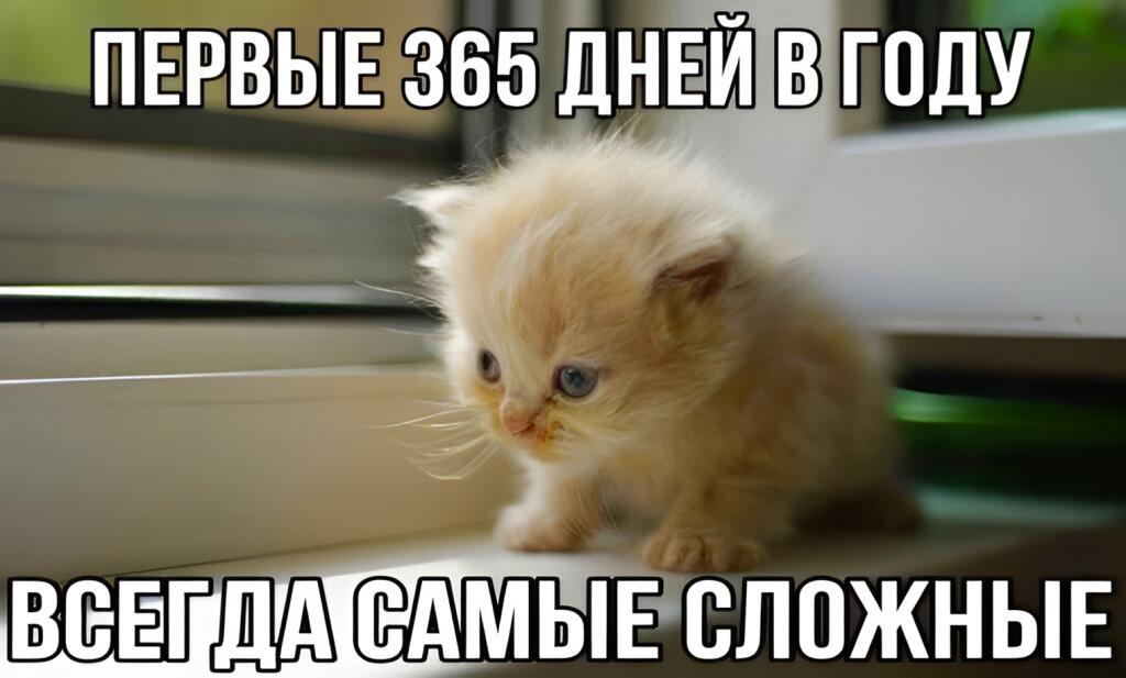 Мотивирует
