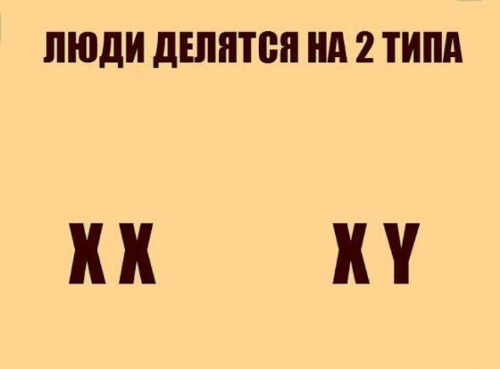хромосомочке :0