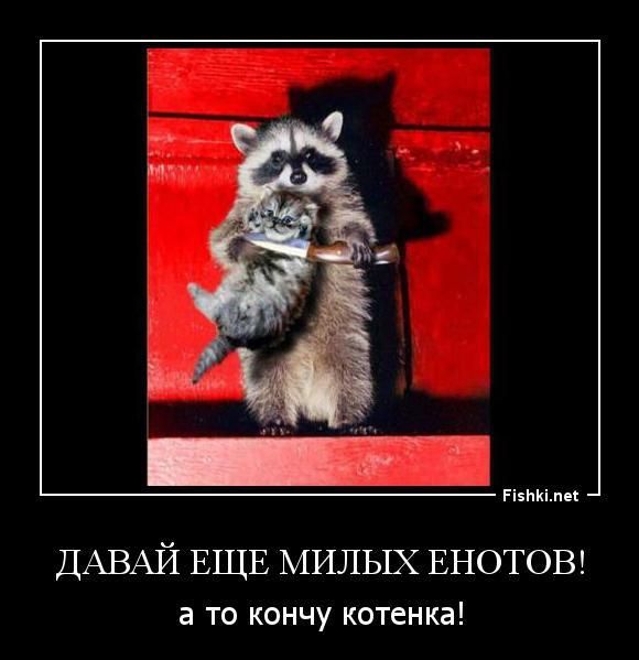 ах ты енот