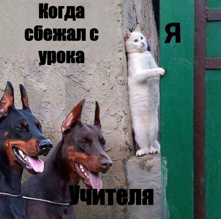 Мем без подписи