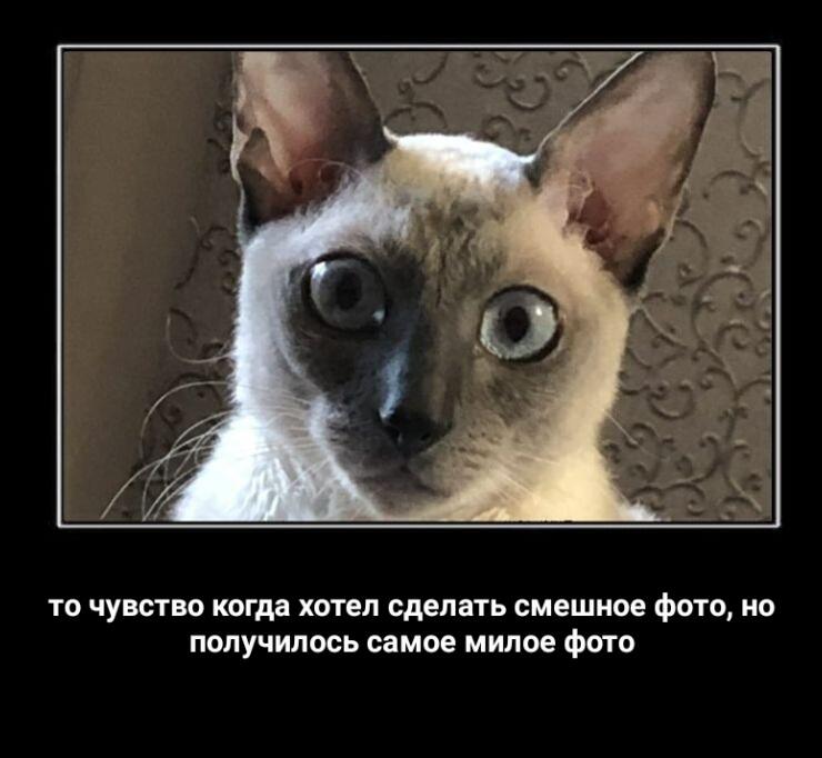 Открою секрет. Это моя бывшая 
 
 
 
 
 
 
 
 
 
 
 
 
(кошка, а ты что подумал)?