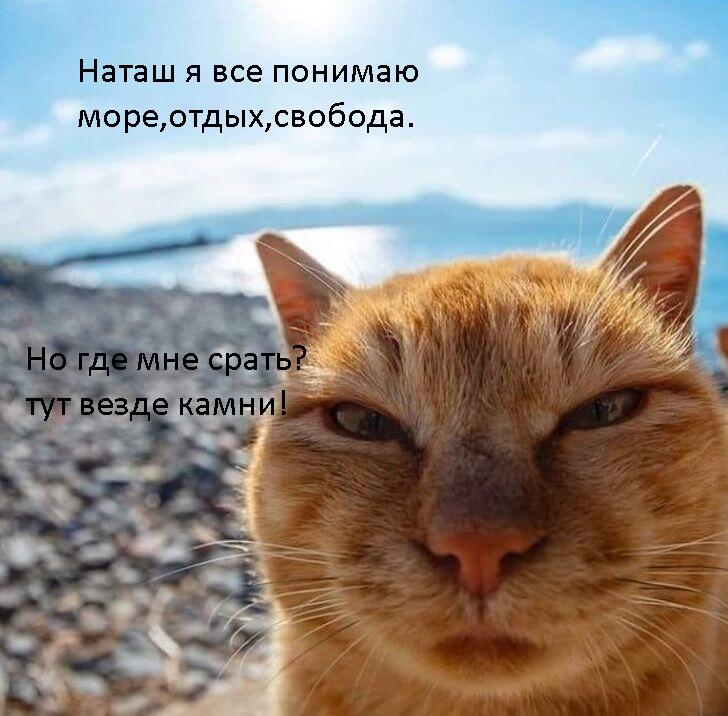 Мем