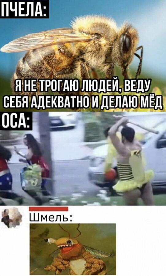 люблю пчелок когда они в километре от меня