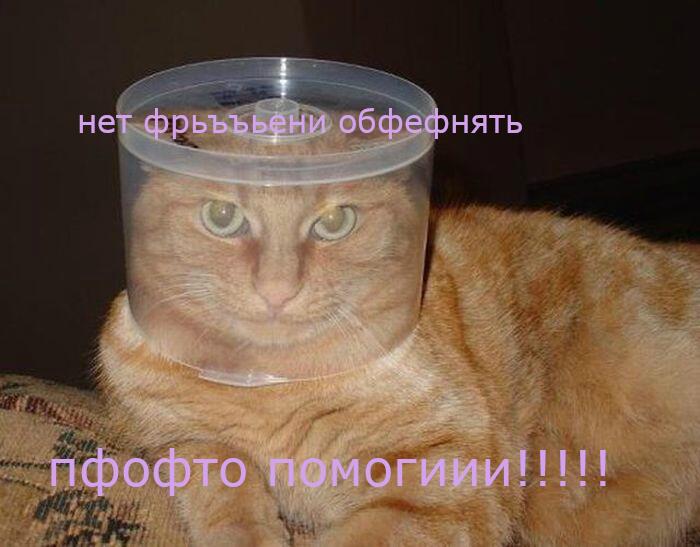 Мем от catpro185d
