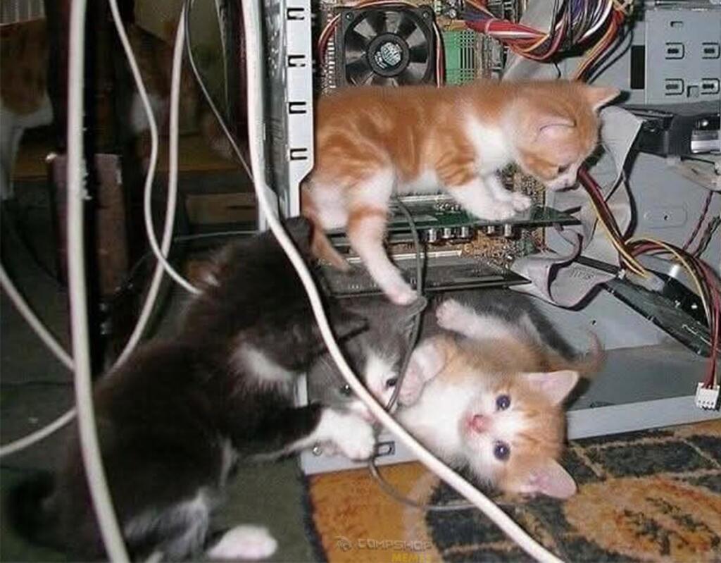 КОТЬИК РАЯЛЬ
режим: дезмач