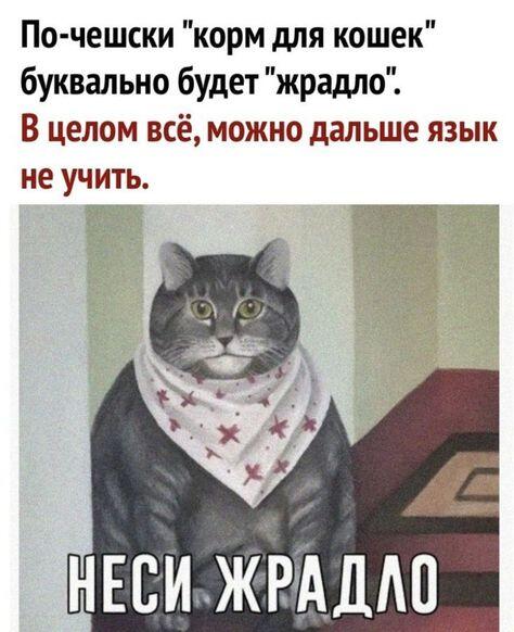 Мем от poly