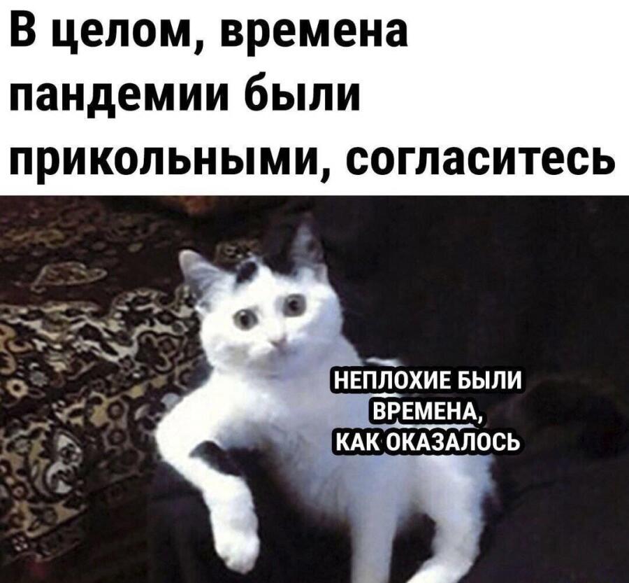 Мем от poly