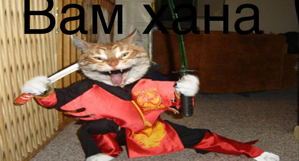 ПОВ: мой кот в 3:00