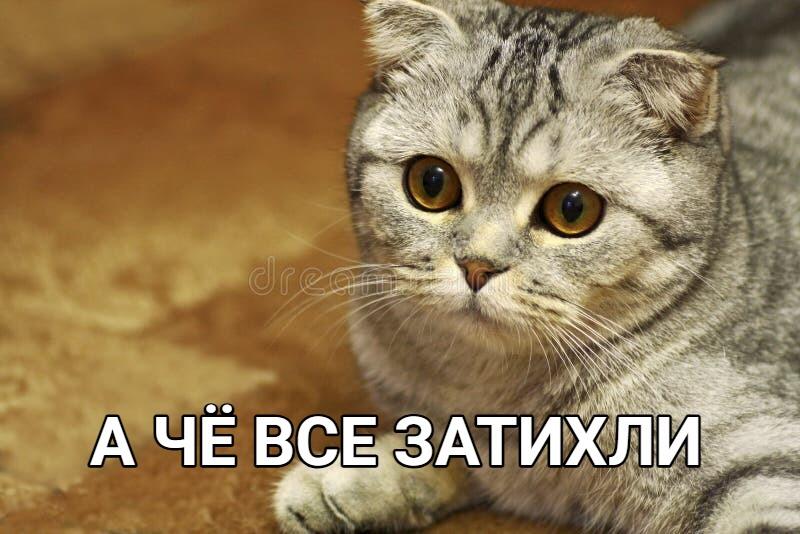 Я в мемозге через 0.1 секунду после лайка: