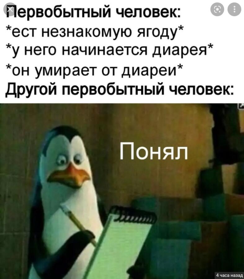 Мем от Мидо́ри
