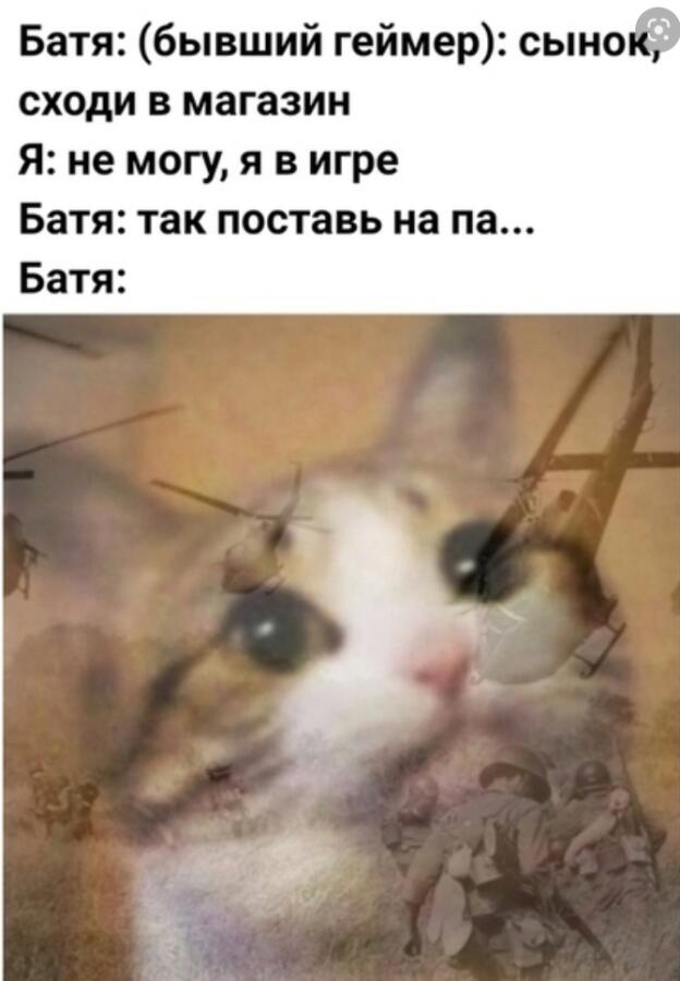 Мем от Мидо́ри
