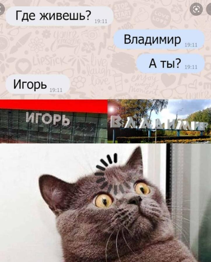 Мем от Мидо́ри