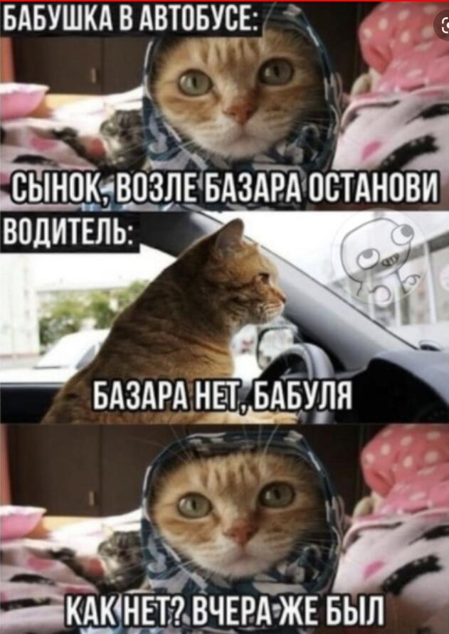 Мем от Мидо́ри