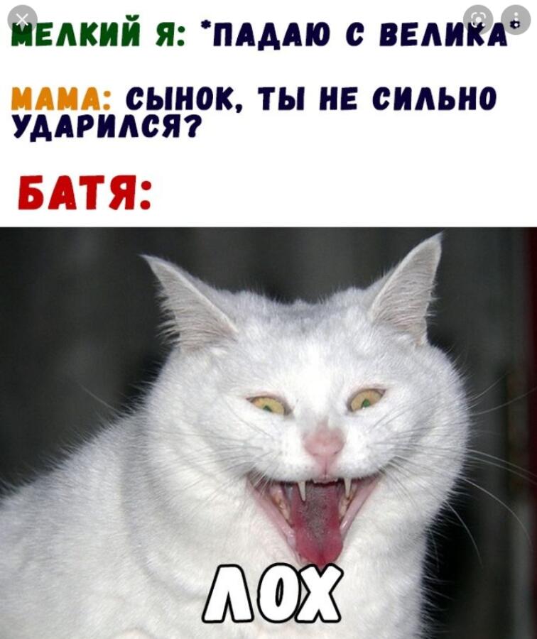 Мем от Мидо́ри