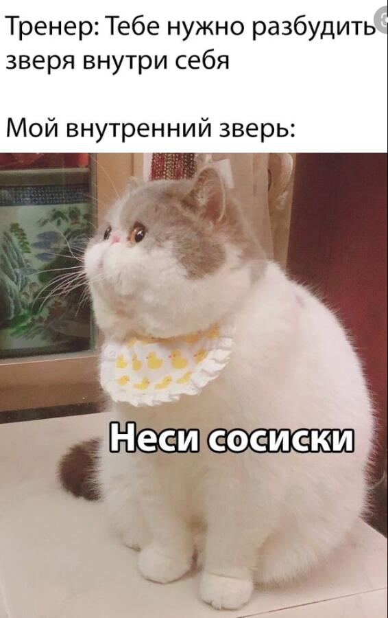 Мем от Мидо́ри