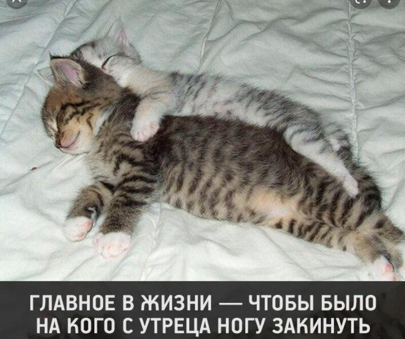 Желаю всем того же!🎀