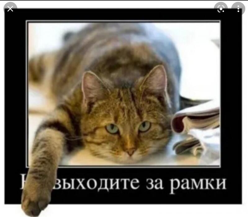 Мем от Мидо́ри