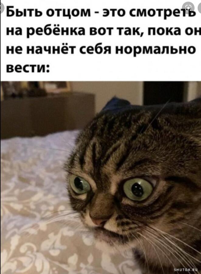 Или матерью