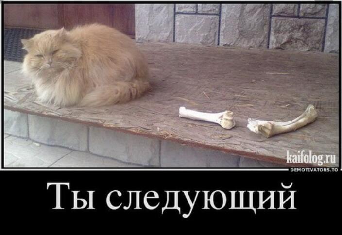 Мем от Мидо́ри