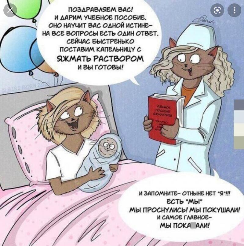 Мем от Мидо́ри