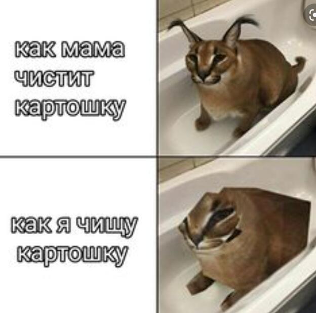 Мем от Мидо́ри