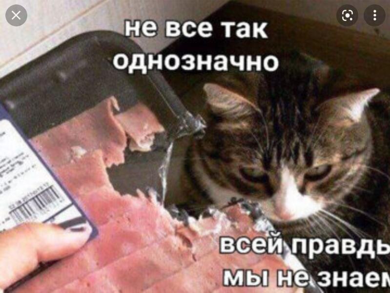 Мем от Мидо́ри