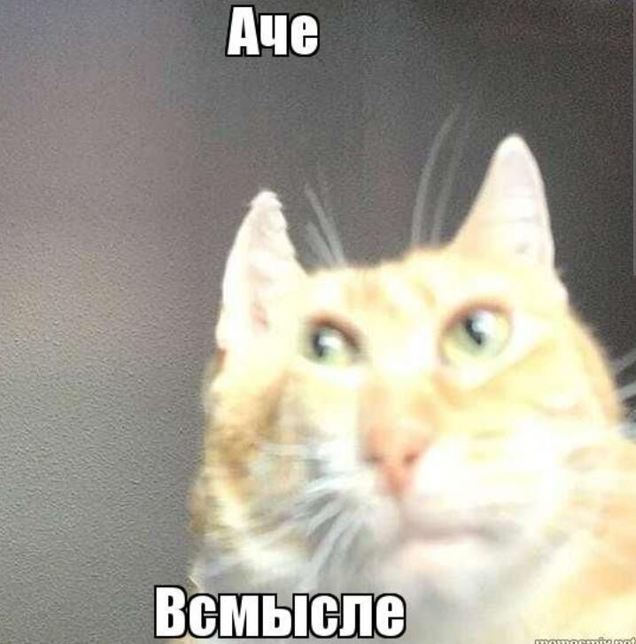 Когда ты разбил вазу, а мама тебя ругает за то, что цветы теперь умрут.