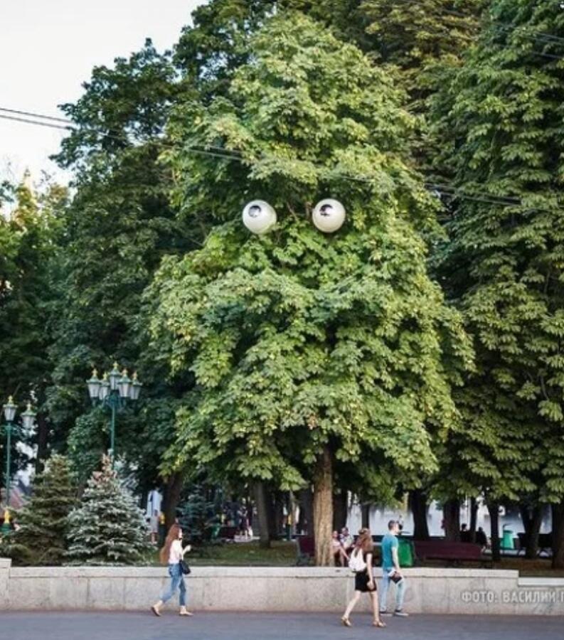 Я тебя вижу @-@