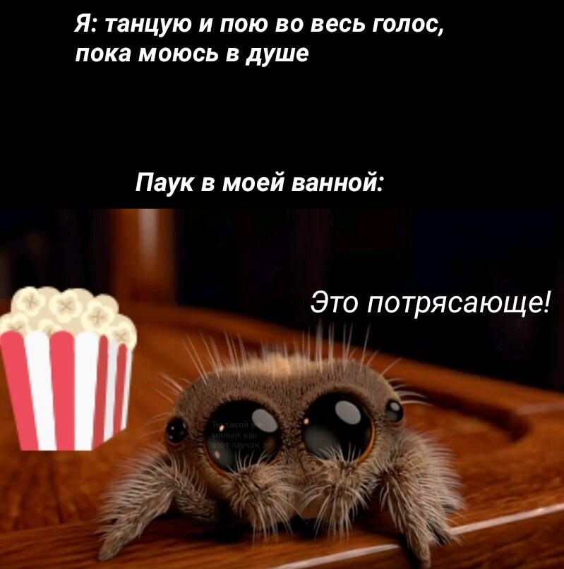 (снизу шаблоны паучка)