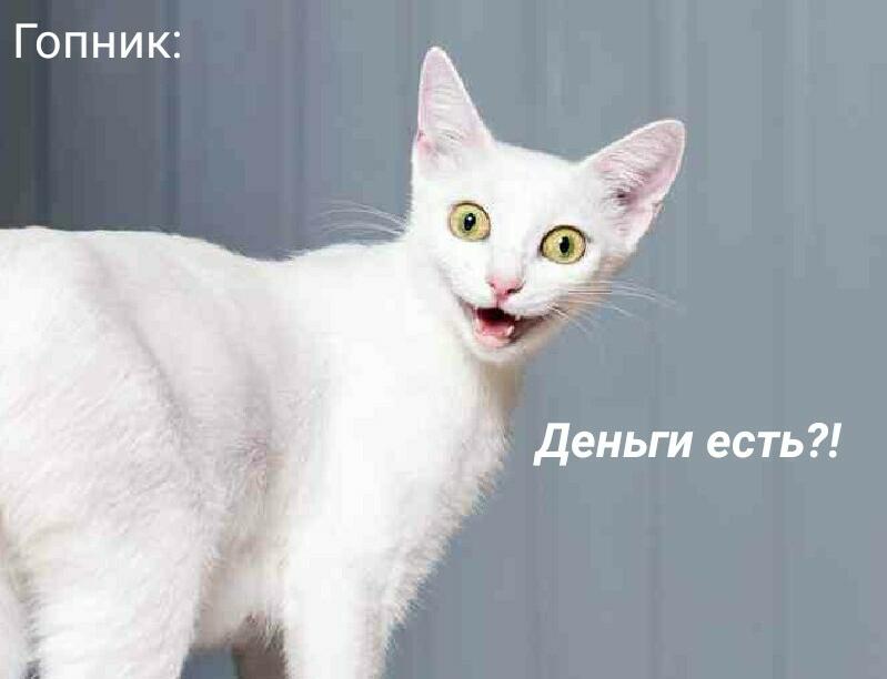 Мем от Мидо́ри