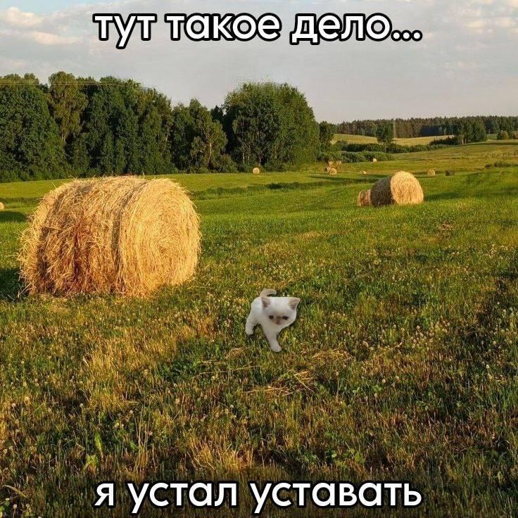 Мем без подписи