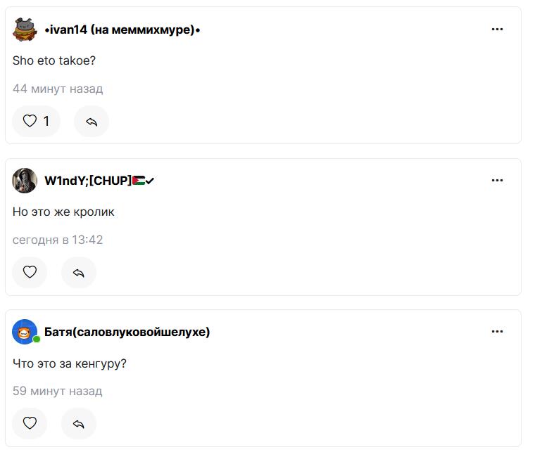 О модераторы, даруйте мне один раз дать людям ссылку!
Потому что никто из них не знаком с такой игрой как Rain World
*Зв
