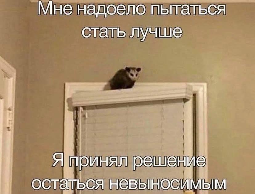 Мяу-мем