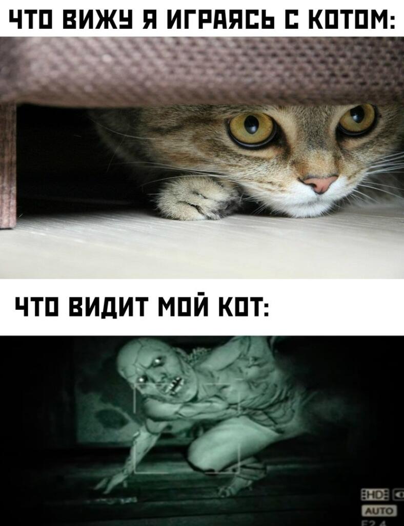 Всем привет я буду выпускать самые лучшие и смешные мемы