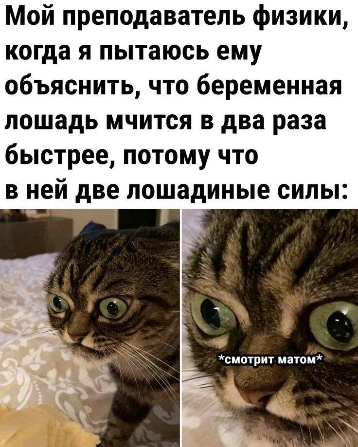 Мем без подписи
