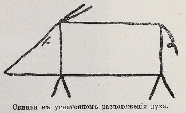 Я когда иду делать уроки после обеда: