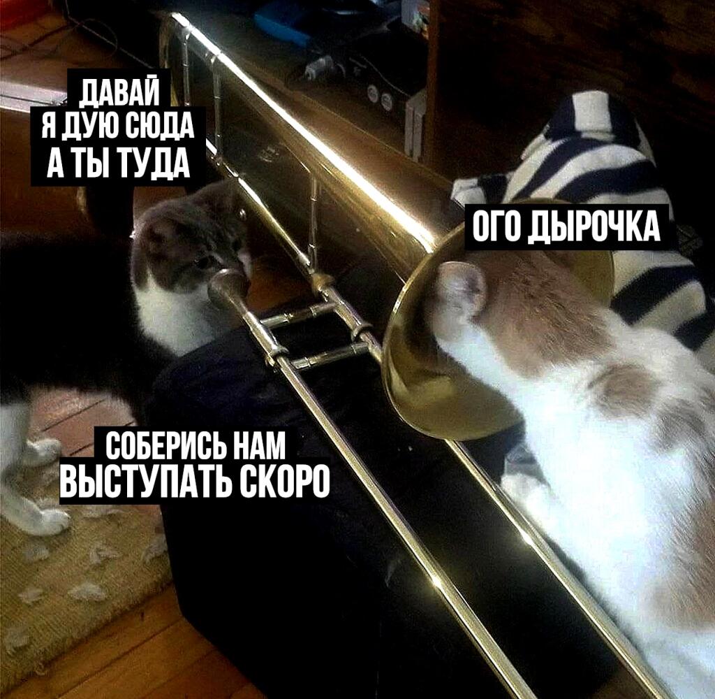 Мем от Алексей Сова