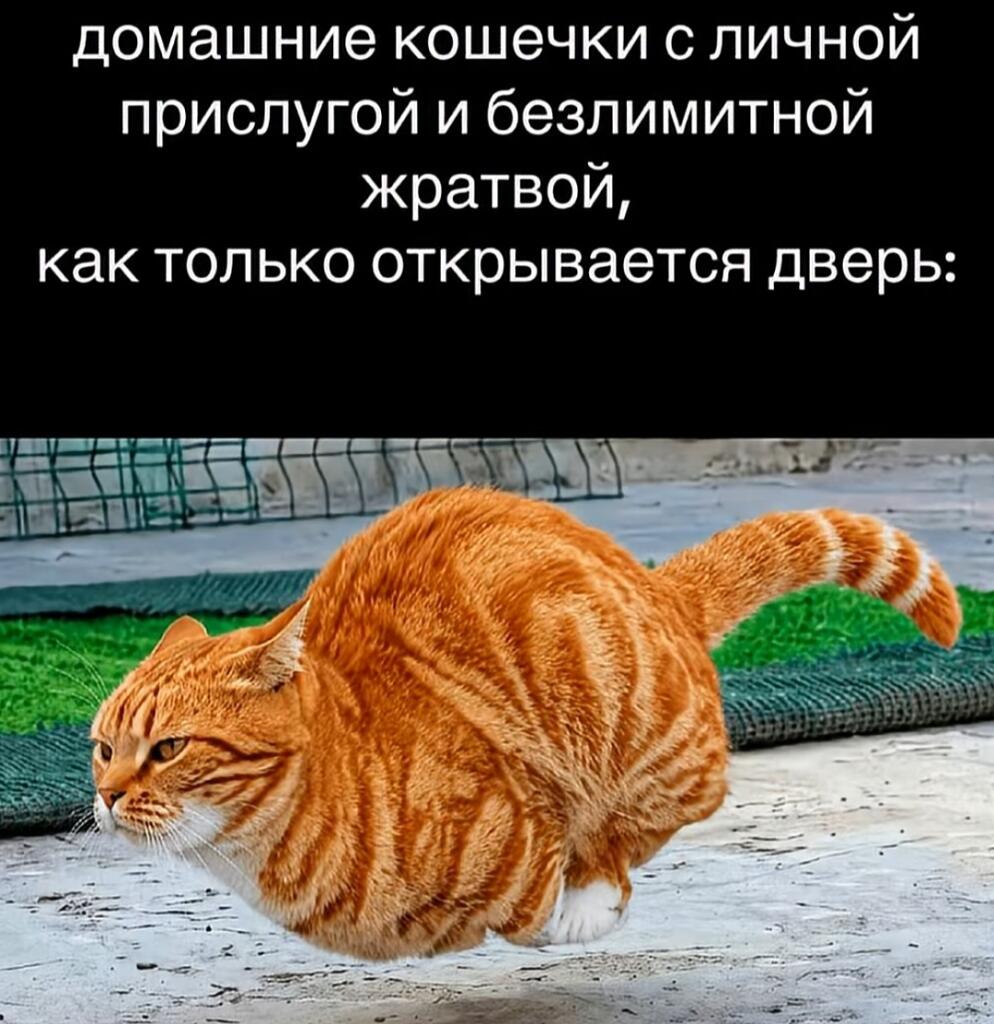 Мем без подписи